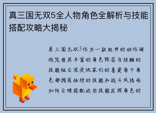 真三国无双5全人物角色全解析与技能搭配攻略大揭秘